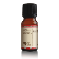 Pure Indigenous Cape May Essential Oil Photo