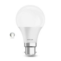 Astrum B22 A120 LED Bulb Photo