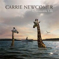 Available Life Records A Permeable Life Photo