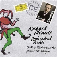 Richard Strauss: Orchestral Works Photo