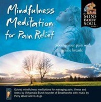 New World Music Mindfulness Meditation for Pain Relief Photo