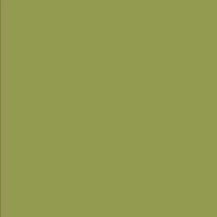 American Crafts Textured Cardstock - Olive Photo