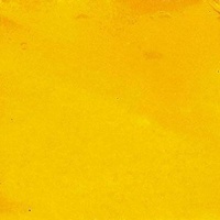 R F R & F Encaustic Wax Paint - Cadmium Yellow Deep Photo