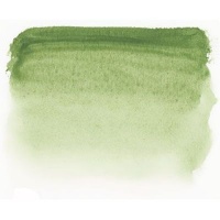 Sennelier S1 Watercolour - Green Earth Photo