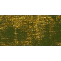 Gamblin Artist Oil Paint - Green Gold Photo