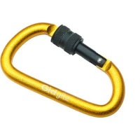 Gidgitz Micro Locking Carabiner Photo