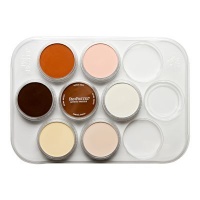 PanPastel Palette Skin Tones Set Photo