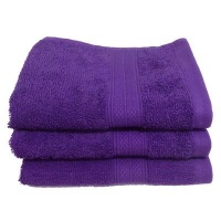 Bunty 's Plush 450 Guest Towel 030x050cms 450GSM - Lilac Home Theatre System Photo