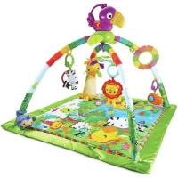 Fisher Price Fisher-Price Rainforest Music and Lights Deluxe Infant Gym Photo