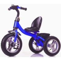 Little Bambino Busy Body Tricycle Photo