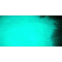 Eli Chem Eli-Glow Photoluminescent Pigment Powder - Aquamarine Blue Photo