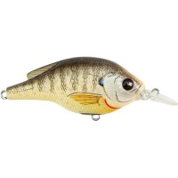 LIVETARGET - Sunfish Crankbait- Bluegill Photo