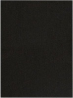 Dala Artist Canvas Panel Black Canvas Photo