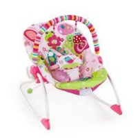 Bright Starts Infant To Toddler Rocker - Raspberry Garden Photo