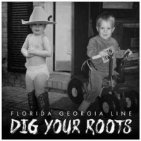 Big Machine Dig Your Roots Photo