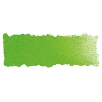 Schmincke Horadam Watercolour - Permanent Green Photo