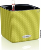 Lechuza Cube Color 14 - Lime Green Home Theatre System Photo