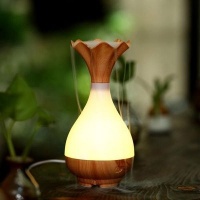 Flower Light Diffuser - Light Wood Photo