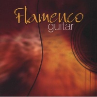 Fast Forward Press Flamenco Guitar Photo