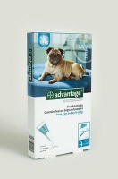 Bayer Advantage - Medium Dogs Photo
