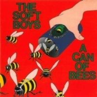 Yep Roc A Can of Bees Photo