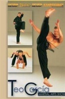 Martial Arts Show Photo
