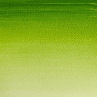 Winsor Newton Winsor And Newton Cotman Watercolour Tube - Sap Green Photo