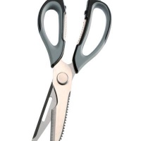 Clean Cut Scissorss Photo