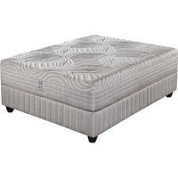 Sealy Synergy Plush Bed Set - Extra Length Photo