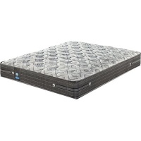 Sealy Performance Firm Mattress - Extra Length Photo