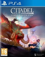 Solutions 2 Go Inc Citadel: Forged with Fire - Release Date TBC Photo