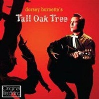 Hallmark Tall Oak Tree Photo