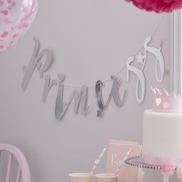Ginger Ray Princess Perfection - Metallic Silver Princess Party Banner Bunting Backdrop Photo
