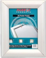 Parrot Single Mitred Poster Frame Photo