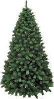 Koleda Christmas Tree - Pikes Bristlecone 2.7m Photo