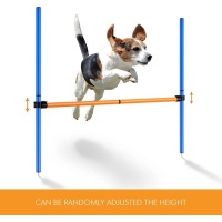Rex Dog Jump Hurdle Training Set Photo