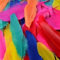 Dala Bright Goose Feathers - 15cm Photo