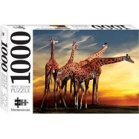 Hinkler Books Giraffes Open-air Zoo France Puzzle Photo