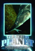 The Third Planet: The Sturgeon Treasure Photo