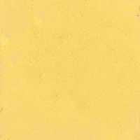 R F R & F Encaustic Wax Paint - Naples Yellow Photo