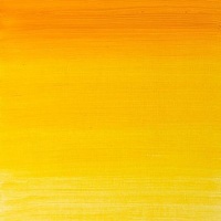 Winsor Newton Griffin Alkyd Oil - Indian Yellow Photo