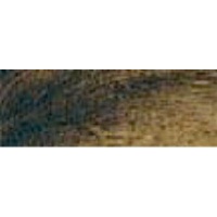 Rembrandt Talens Oil Colour Tube - Raw Umber Photo