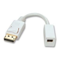 Lindy DisplayPort Male to Mini-DisplayPort Female Cable Photo