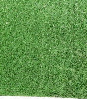 Seagull Artificial Grass Roll Photo