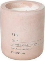 Blomus Scented Candle in Concrete Container - Fig Pale Photo