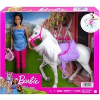 Barbie Basic Horse and Doll Playset Photo