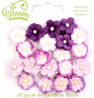 Bloom Enterprises Bloom Sweetheart Blossoms - Lilac & Purple Photo
