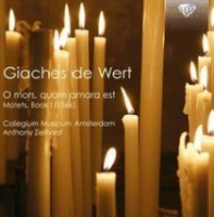 Brilliant Classics Giaches De Wert: Motets Book 1 Photo