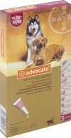 Bayer Advocate - Large Dog Photo