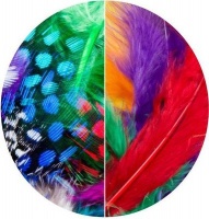 Dala Craft Feathers Photo